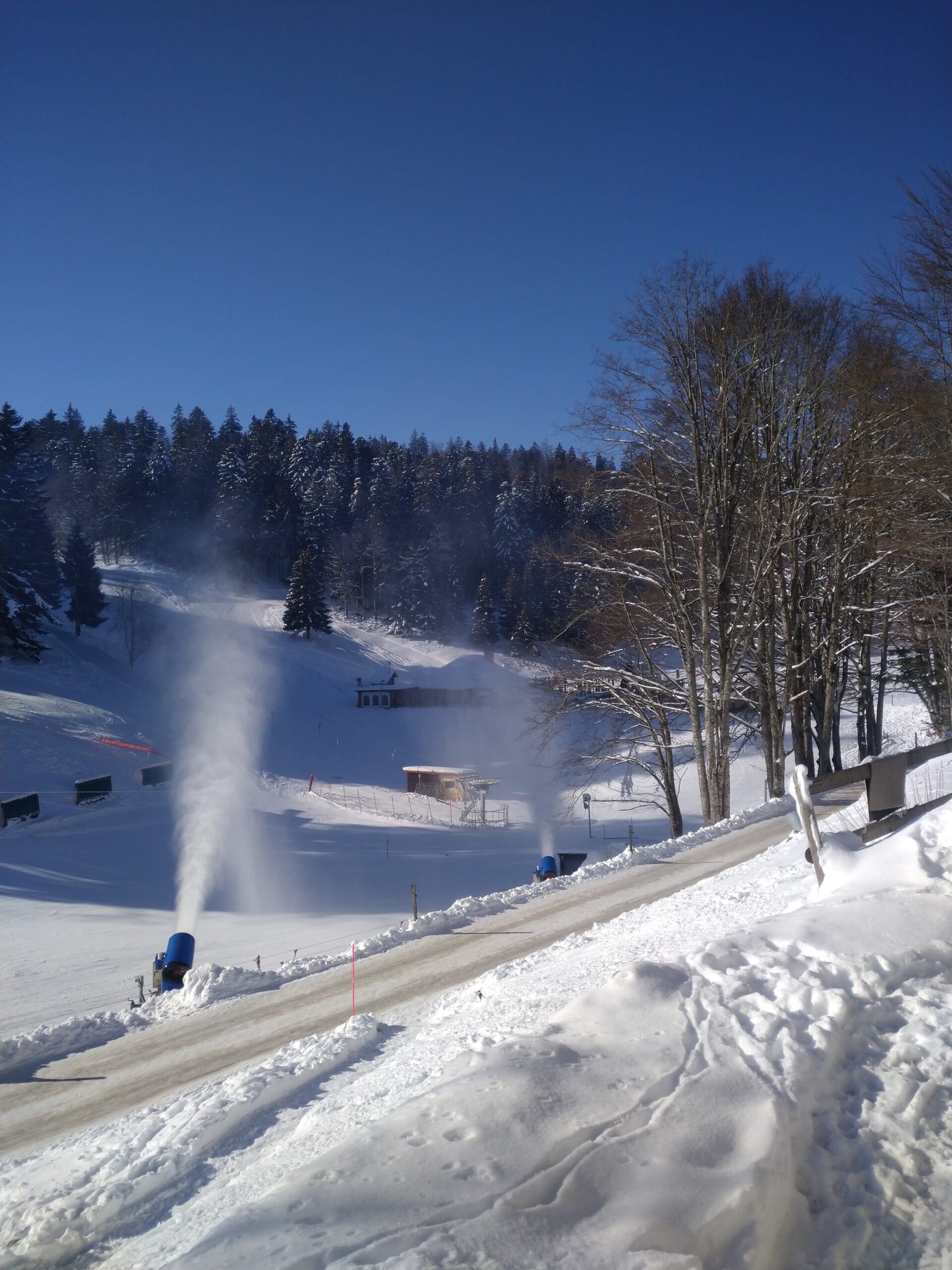 Pistes enneigées de Basse Ruche à St-Cergue en hiver