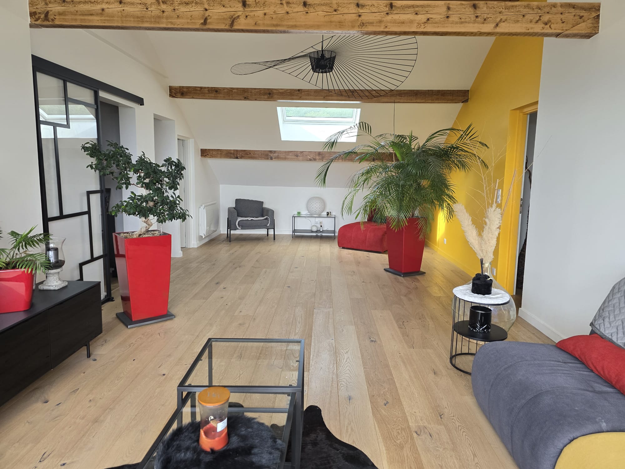 salon 1
