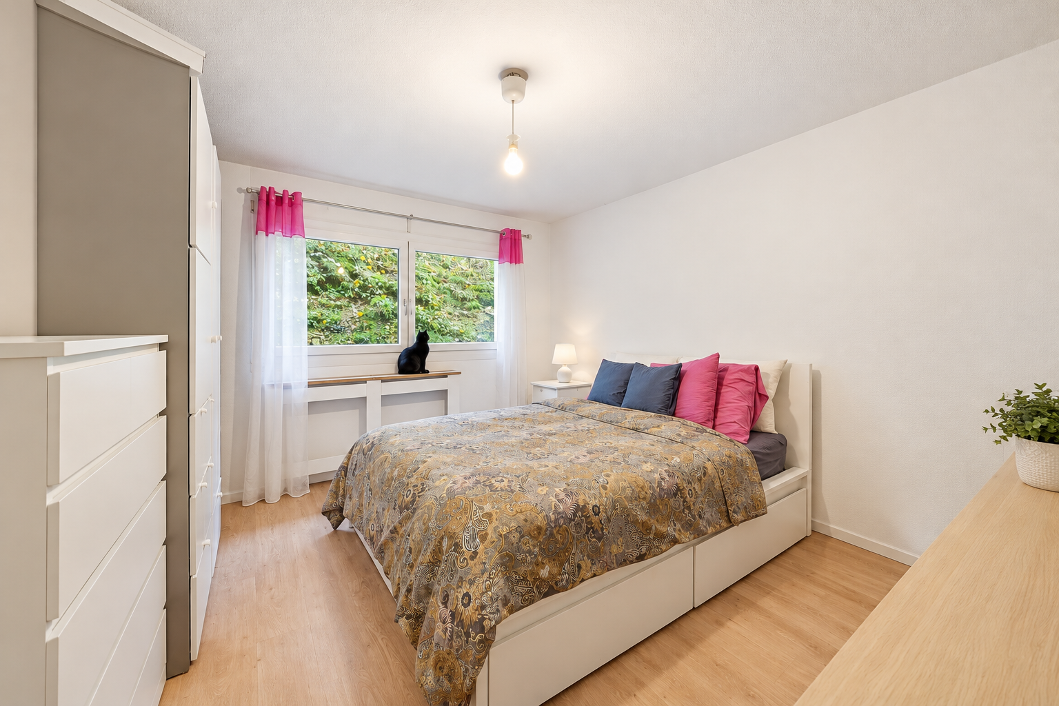 Chambre moderne avec chat à la fenêtre