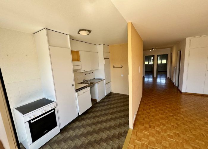 Cuisine sejour vue grand angle