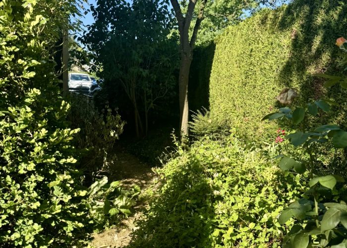 Vegetation